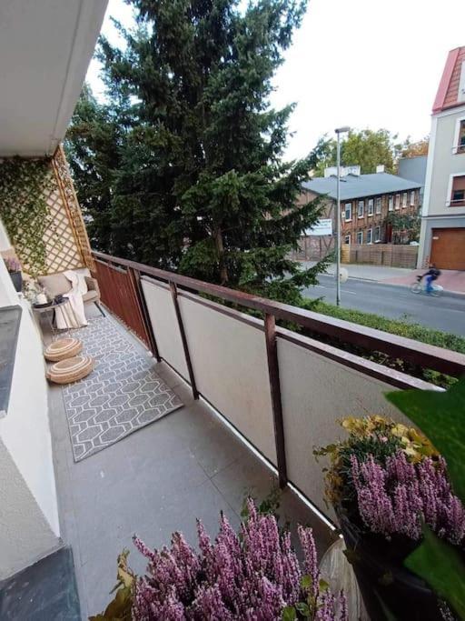 Apartament Podgorna 19 Apartamento Stary Toruń Exterior foto