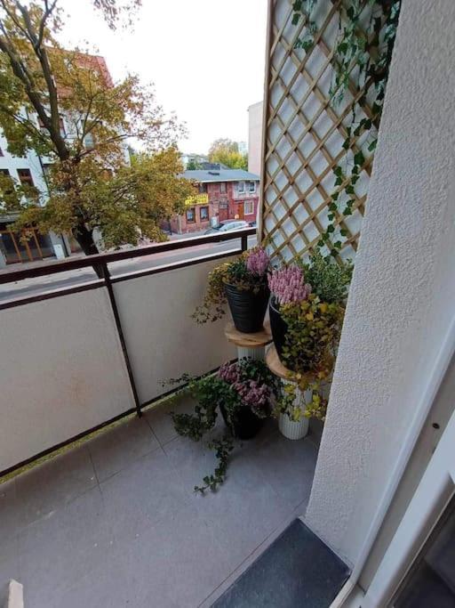 Apartament Podgorna 19 Apartamento Stary Toruń Exterior foto